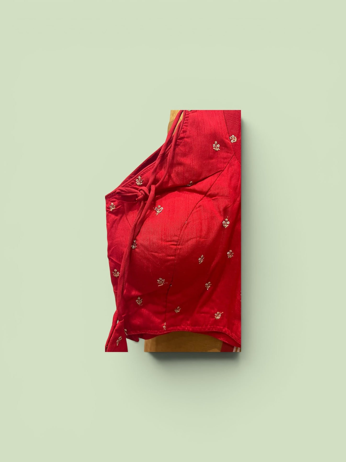 Golden Tissue Saree with Matching Designer Blouse